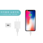 2A Charging set(iPhone) UE8